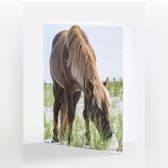 Other - Pack of 4 notecards with envelopes